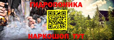 марихуана Кингисепп